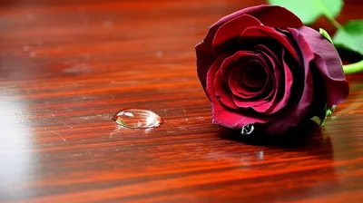 Illustration sadly - Image 1