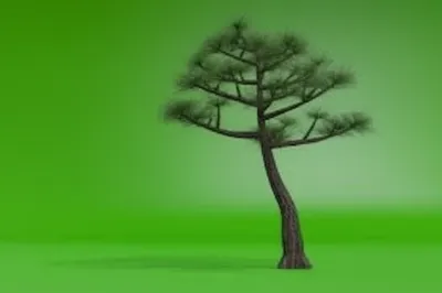 Illustration slanting - Image 1