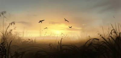 Illustration offset - Image 1