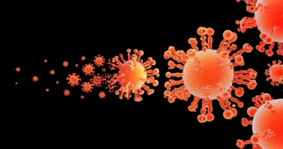 Illustration disproportionate