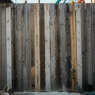 Illustration hoard - Image 1