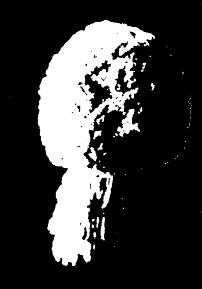 Illustration mask - Image 1