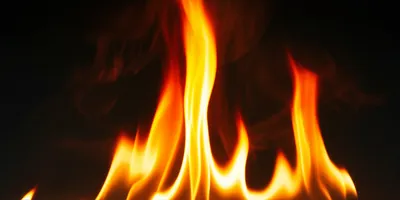 Illustration zealously