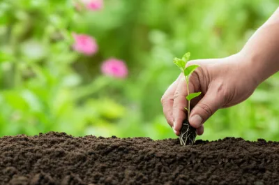 Illustration applying - Image 1