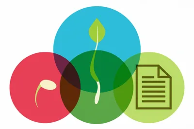 توضيح مرئي للكلمة "children" - أطفال، صغار