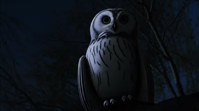 Illustration unblinking