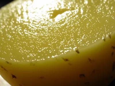 Illustration amyl - Image 1