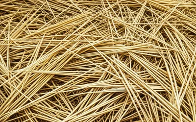 Illustration straw - Image 1