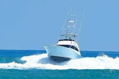 Illustration stem - Image 3