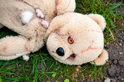 Illustration mauled - Image 1