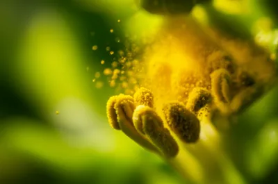 Illustration theca - Image 2