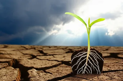 Illustration potentially - Image 1