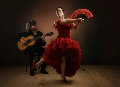 Illustration flamencos - Image 1