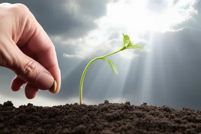 Illustration enables - Image 1