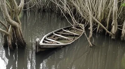 Illustration sunken - Image 1