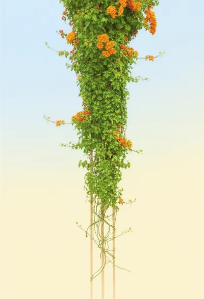 Illustration exponentiation - Image 1