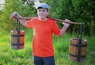 Illustration yoke - Image 5