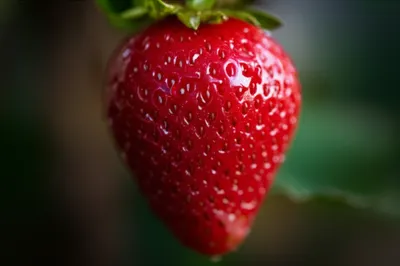 Illustration dribbles - Image 1