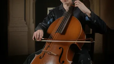 Illustration barytons