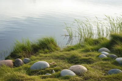 Illustration rives - Image 1