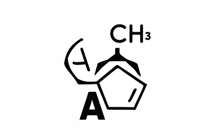 Illustration thymine - Image 1