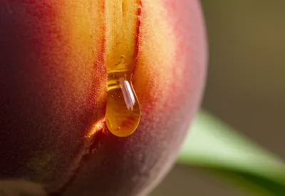 Illustration maturated - Image 1