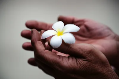 Illustration wrinkly - Image 1