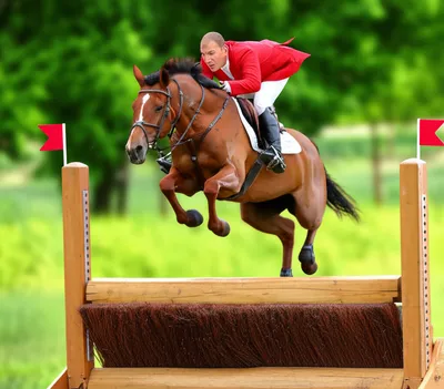 Illustration balk - Image 1