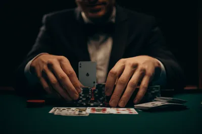 Illustration palmer - Image 1