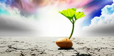 Illustration originality - Image 1