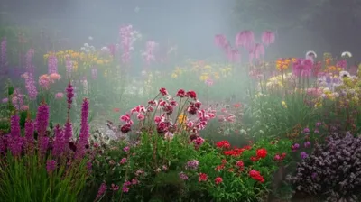 Illustration damps - Image 1