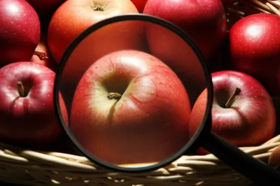 Illustration criticise