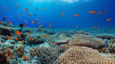 Illustration bleaching - Image 1