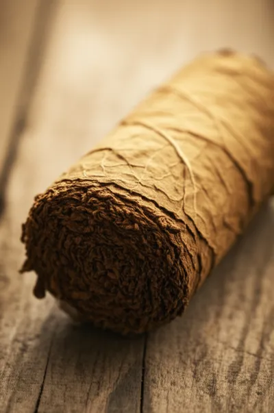 Illustration rolls - Image 1