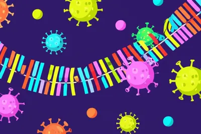 Illustration signature - Image 1