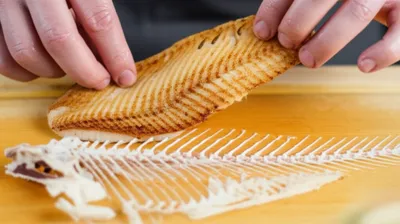 Illustration deboned - Image 1