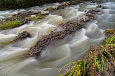 Illustration silt - Image 1