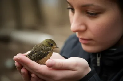 Illustration responsive - Image 1