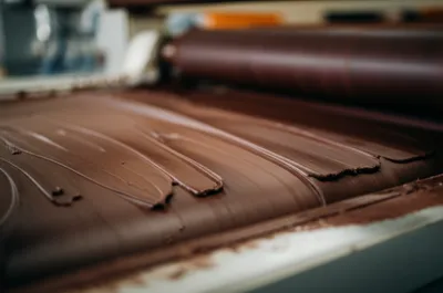 Illustration conch - Image 1