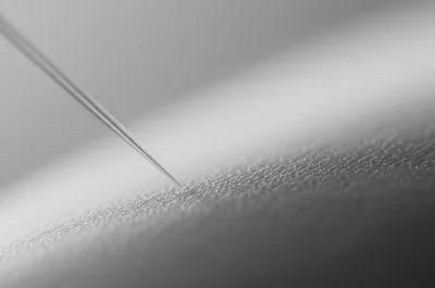 Illustration barb - Image 1