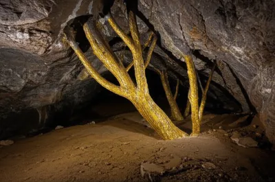 Illustration dobbin - Image 1