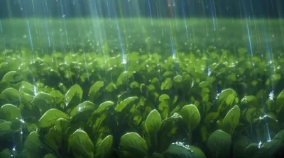 Illustration nitrates - Image 1