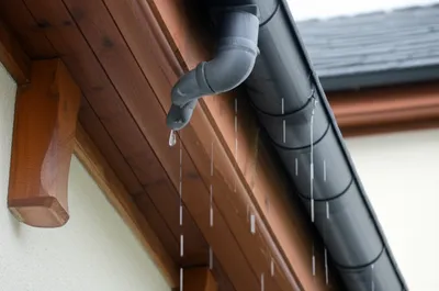 Illustration eave - Image 1