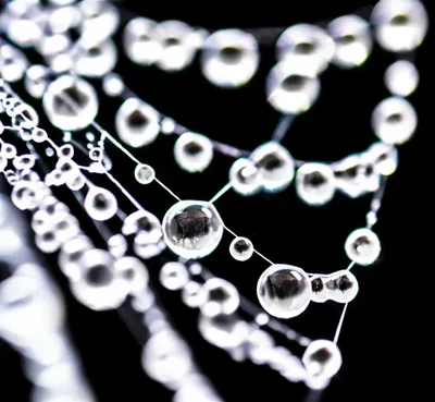 Illustration beaded - Image 1