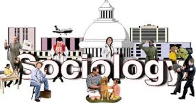 Illustration sociology - Image 2