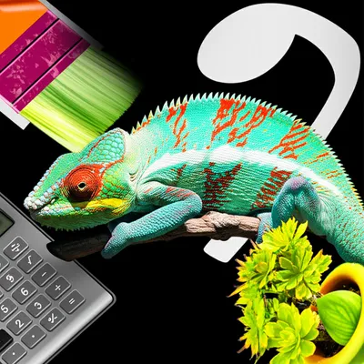 Hình ảnh minh họa variant - Ảnh 1