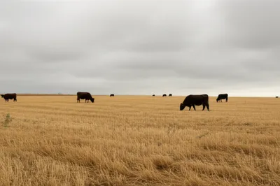 Illustration rowan - Image 1