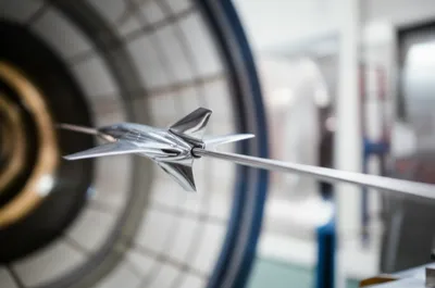 Illustration stings - Image 1