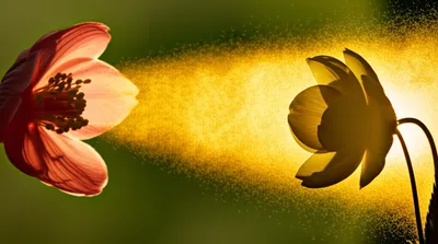 Illustration unload - Image 1