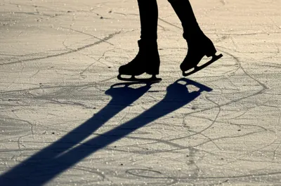 Illustration grapevine - Image 1